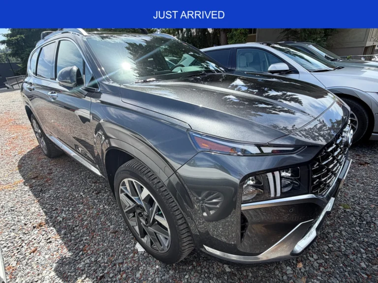 2022 Hyundai SANTA FE Calligraphy