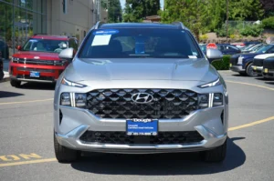 2022 Hyundai SANTA FE Calligraphy stock 260688H photo 2