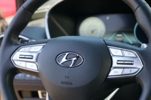 2022 Hyundai SANTA FE Calligraphy stock 260688H photo 22