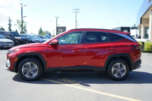 2025 Hyundai TUCSON HYBRID Blue stock 16765HS photo 10
