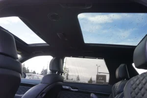 Used 2020 Hyundai PALISADE Limited for sale in Lynnwood, WA — photo 19