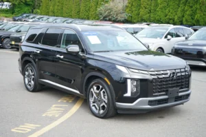 Used 2023 Hyundai PALISADE Limited for sale in Lynnwood, WA — photo 3