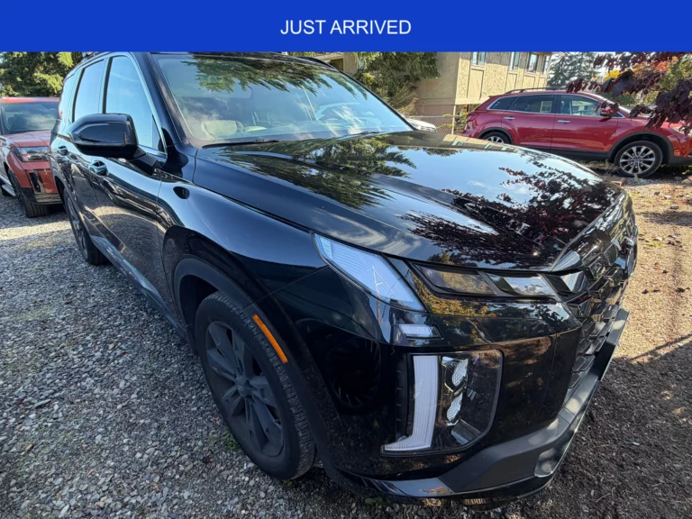 2024 Hyundai PALISADE XRT